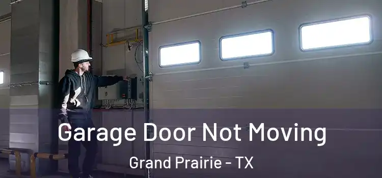  Garage Door Not Moving Grand Prairie - TX