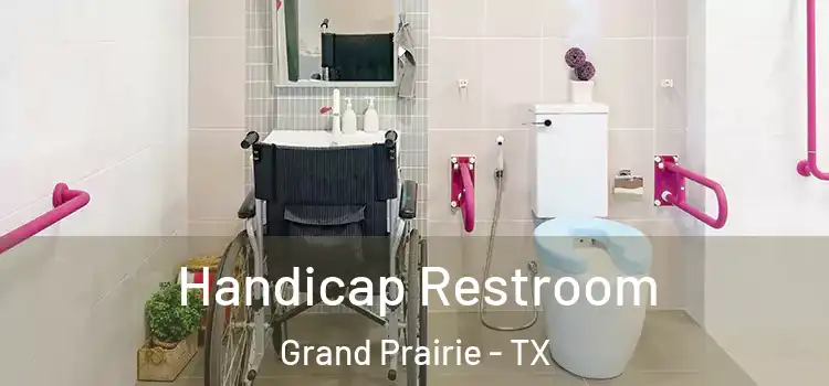 Handicap Restroom Grand Prairie - TX