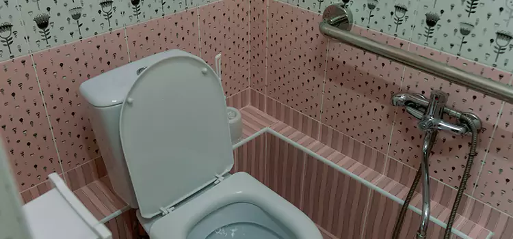 Meeting Diverse Needs With Accessible Restroom Solutions in Grand Prairie, TX
